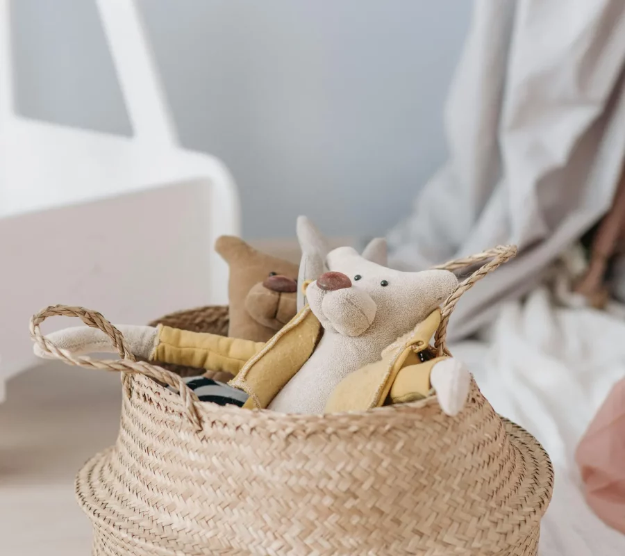 atelier rangement aide personnes TDA maison apaisée